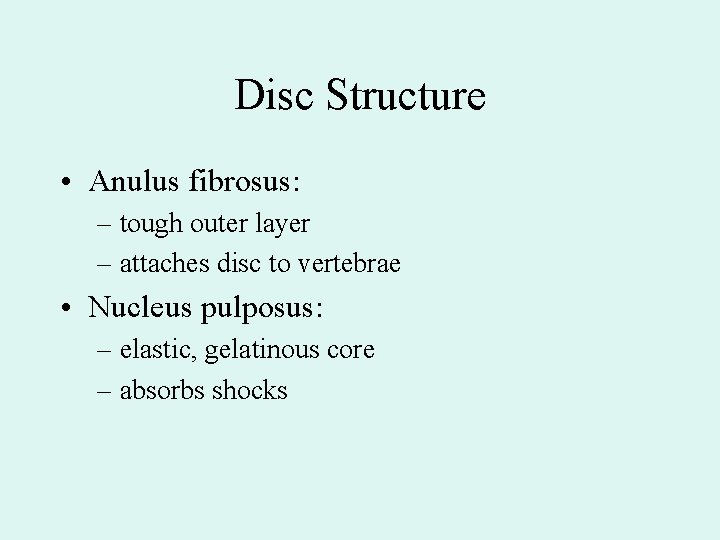 Disc Structure • Anulus fibrosus: – tough outer layer – attaches disc to vertebrae