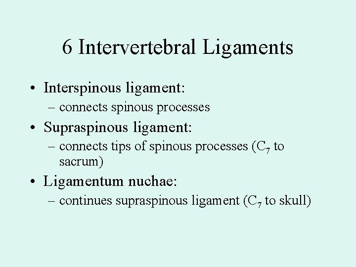 6 Intervertebral Ligaments • Interspinous ligament: – connects spinous processes • Supraspinous ligament: –