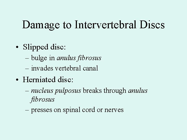 Damage to Intervertebral Discs • Slipped disc: – bulge in anulus fibrosus – invades