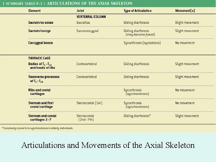 Articulations and Movements of the Axial Skeleton 