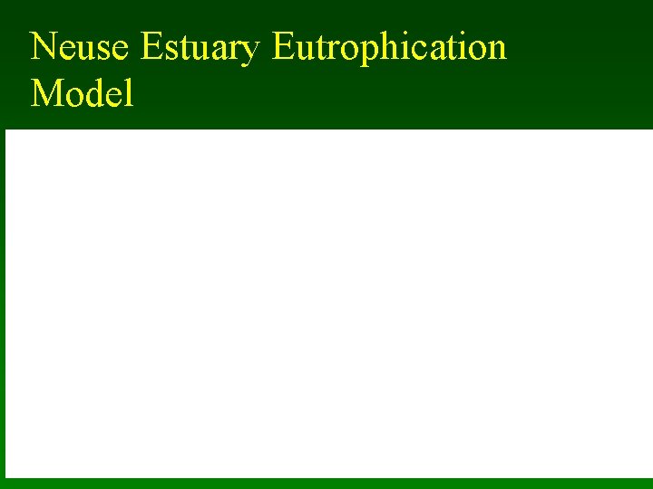 Neuse Estuary Eutrophication Model 