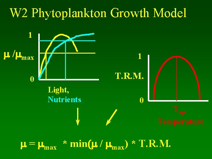 W 2 Phytoplankton Growth Model 1 m /mmax 1 0 T. R. M. Light,
