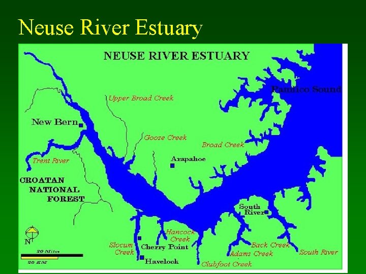 Neuse River Estuary 