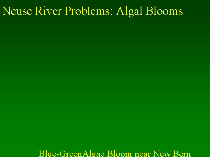 Neuse River Problems: Algal Blooms Blue-Green. Algae Bloom near New Bern 