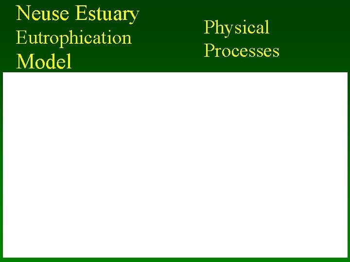 Neuse Estuary Eutrophication Model Physical Processes 