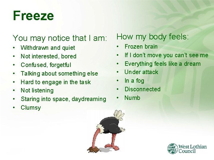 Freeze You may notice that I am: How my body feels: • • •