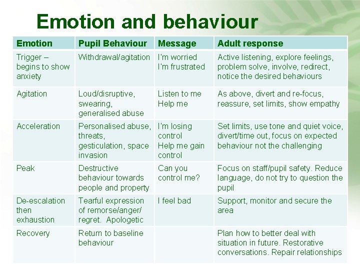 Emotion and behaviour Pupil Behaviour Message Adult response Trigger – begins to show anxiety