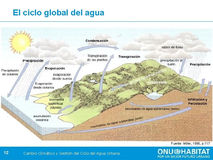 El ciclo global del agua Fuente: Miller, 1996, p. 117 12 Cambio Climático y