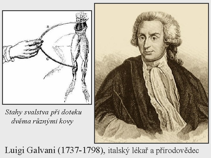 Stahy svalstva při doteku dvěma různými kovy Luigi Galvani (1737 -1798), italský lékař a