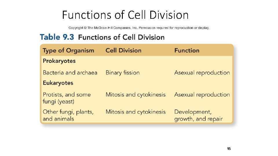 Functions of Cell Division 15 