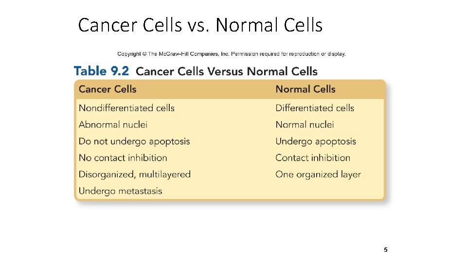 Cancer Cells vs. Normal Cells 5 