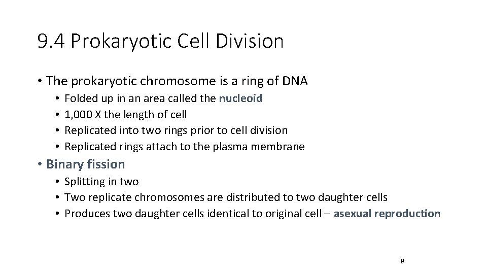 9. 4 Prokaryotic Cell Division • The prokaryotic chromosome is a ring of DNA