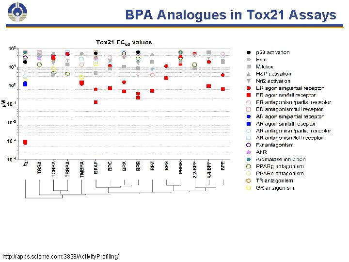 BPA Analogues in Tox 21 Assays http: //apps. sciome. com: 3838/Activity. Profiling/ 33 