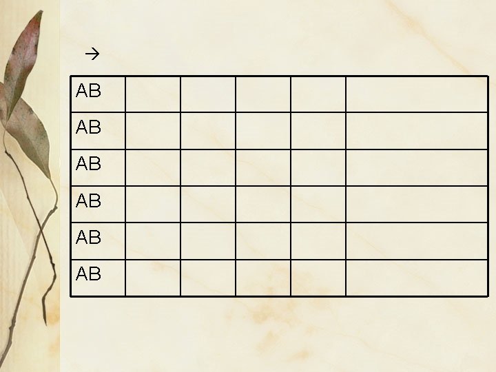 AB AB AB AB AB AB