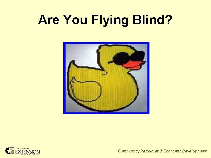 Are You Flying Blind? Community Resources & Economic Development 