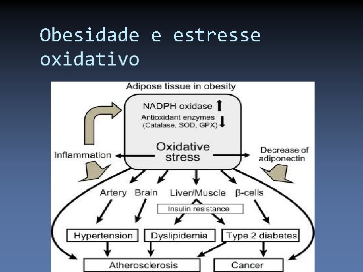 Obesidade e estresse oxidativo 