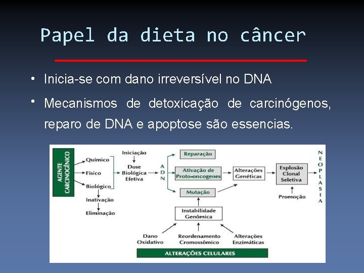 Papel da dieta no câncer • Inicia-se com dano irreversível no DNA • Mecanismos