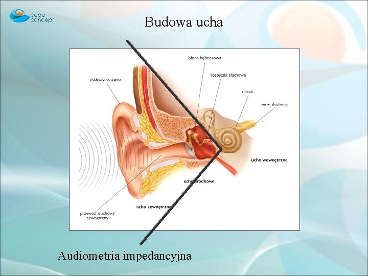 Budowa ucha Audiometria impedancyjna 