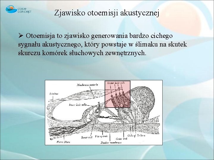 Zjawisko otoemisji akustycznej Ø Otoemisja to zjawisko generowania bardzo cichego sygnału akustycznego, który powstaje