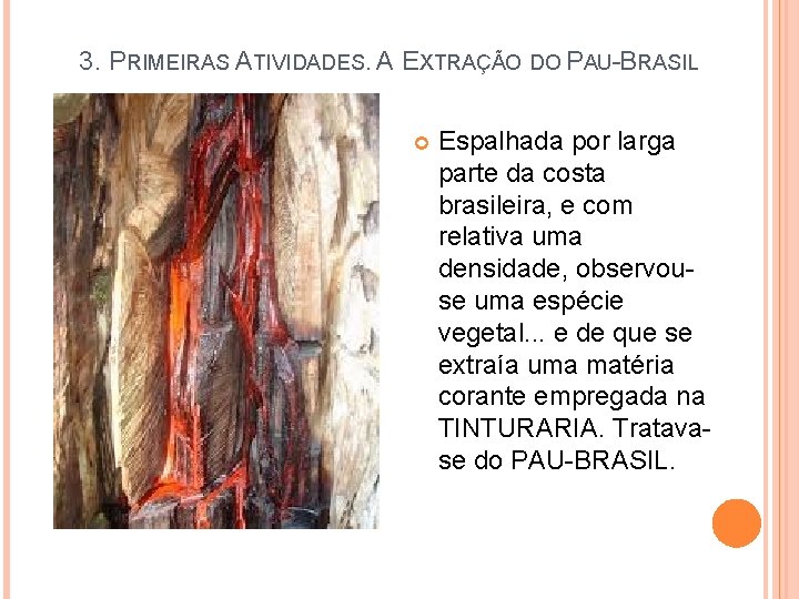 3. PRIMEIRAS ATIVIDADES. A EXTRAÇÃO DO PAU-BRASIL Espalhada por larga parte da costa brasileira,