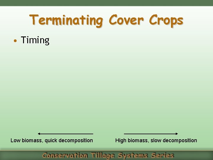 Terminating Cover Crops • Timing Low biomass, quick decomposition High biomass, slow decomposition 