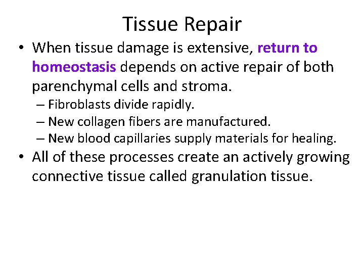 Tissue Repair • When tissue damage is extensive, return to homeostasis depends on active