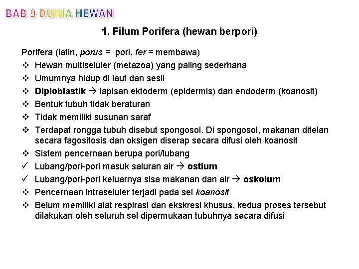 1. Filum Porifera (hewan berpori) Porifera (latin, porus = pori, fer = membawa) v
