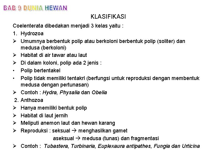 KLASIFIKASI Coelenterata dibedakan menjadi 3 kelas yaitu : 1. Hydrozoa Ø Umumnya berbentuk polip