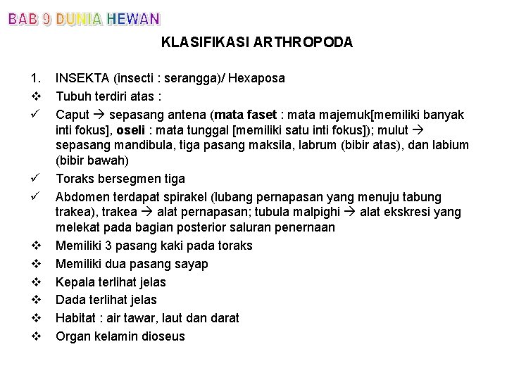 KLASIFIKASI ARTHROPODA 1. v ü ü ü v v v INSEKTA (insecti : serangga)/