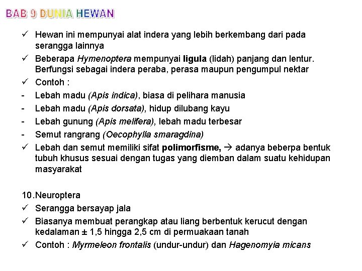 ü Hewan ini mempunyai alat indera yang lebih berkembang dari pada serangga lainnya ü