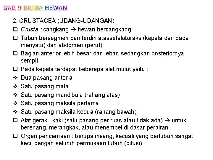 2. CRUSTACEA (UDANG-UDANGAN) q Crusta : cangkang hewan bercangkang q Tubuh bersegmen dan terdiri