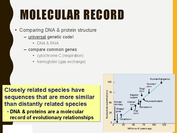 MOLECULAR RECORD • Comparing DNA & protein structure – universal genetic code! • DNA
