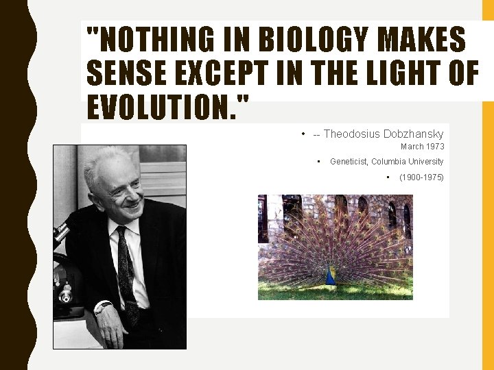 "NOTHING IN BIOLOGY MAKES SENSE EXCEPT IN THE LIGHT OF EVOLUTION. " • --