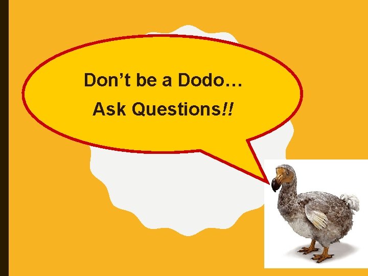 Don’t be a Dodo… Ask Questions!! 