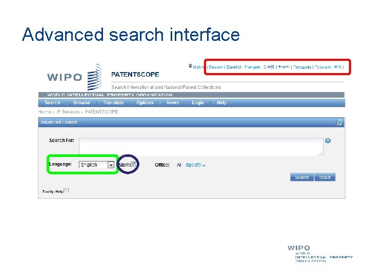 Advanced search interface 