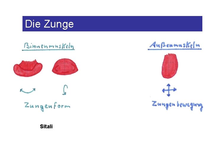 Die Zunge Sitali 