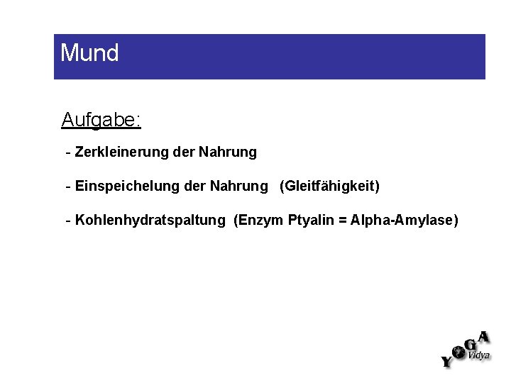 Mund Aufgabe: - Zerkleinerung der Nahrung - Einspeichelung der Nahrung (Gleitfähigkeit) - Kohlenhydratspaltung (Enzym