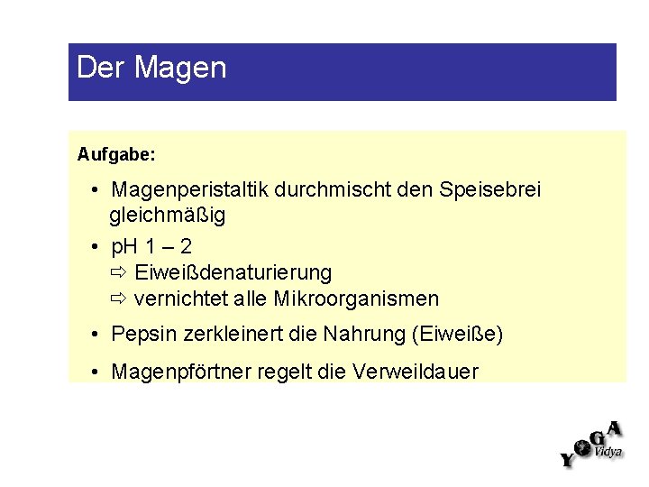 Der Magen Aufgabe: • Magenperistaltik durchmischt den Speisebrei gleichmäßig • p. H 1 –