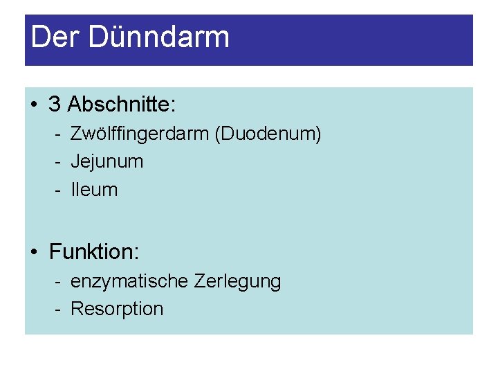 Der Dünndarm • 3 Abschnitte: - Zwölffingerdarm (Duodenum) - Jejunum - Ileum • Funktion: