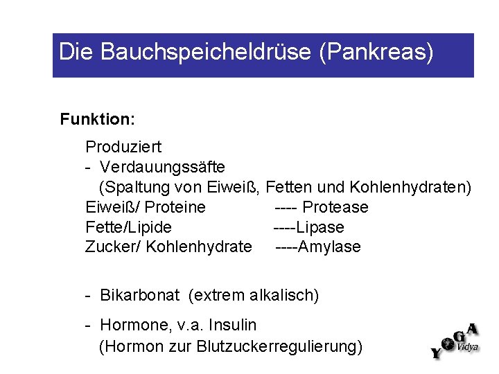 Die Bauchspeicheldrüse (Pankreas) Funktion: Produziert - Verdauungssäfte (Spaltung von Eiweiß, Fetten und Kohlenhydraten) Eiweiß/