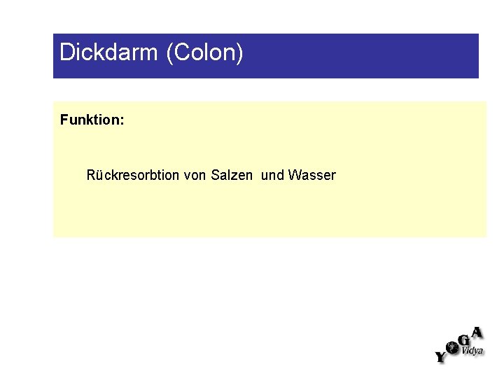 Dickdarm (Colon) Funktion: Rückresorbtion von Salzen und Wasser 