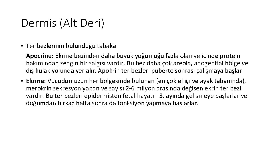 Dermis (Alt Deri) • Ter bezlerinin bulunduğu tabaka Apocrine: Ekrine bezinden daha büyük yoğunluğu
