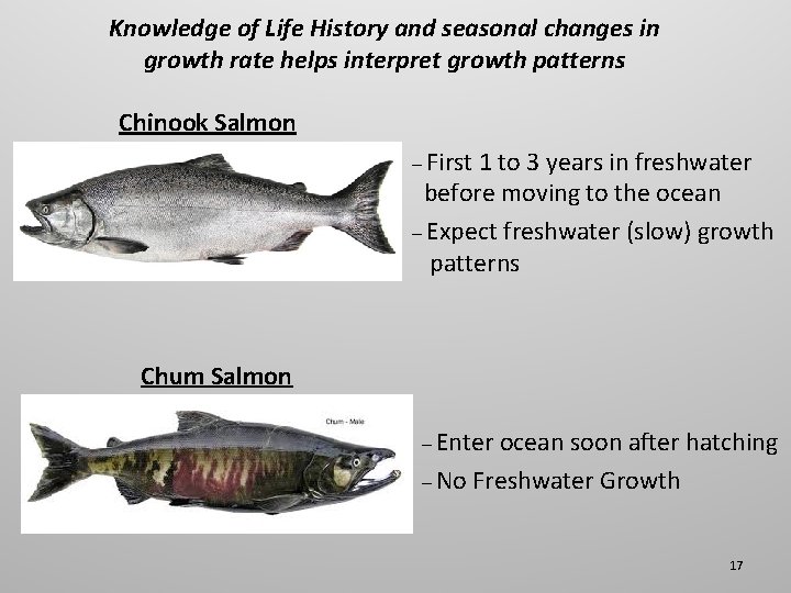 Knowledge of Life History and seasonal changes in growth rate helps interpret growth patterns