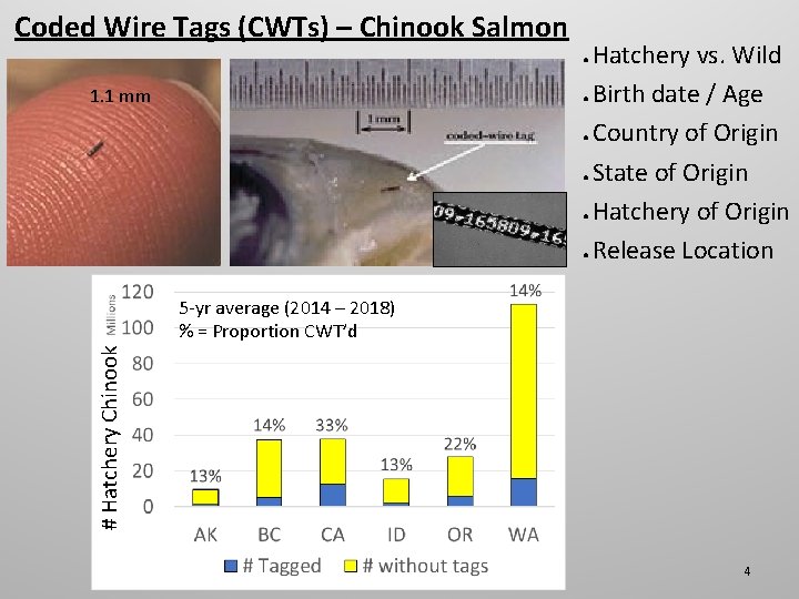 Coded Wire Tags (CWTs) – Chinook Salmon Hatchery vs. Wild ● Birth date /