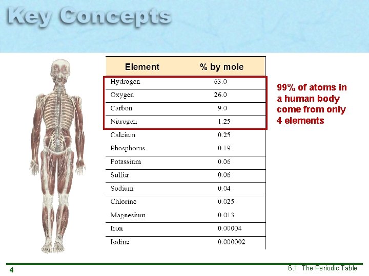 99% of atoms in a human body come from only 4 elements 4 6.