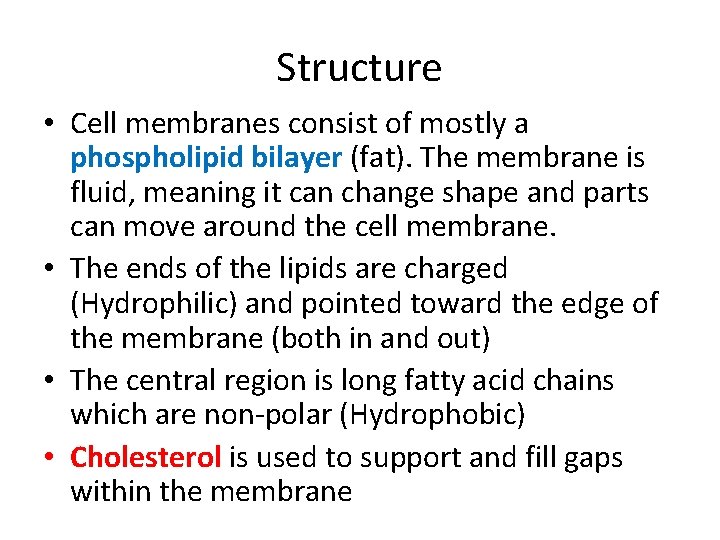 Structure • Cell membranes consist of mostly a phospholipid bilayer (fat). The membrane is