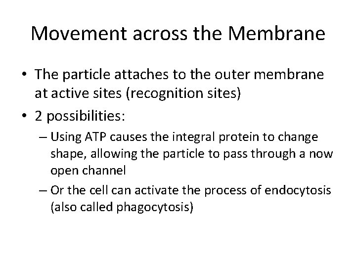 Movement across the Membrane • The particle attaches to the outer membrane at active