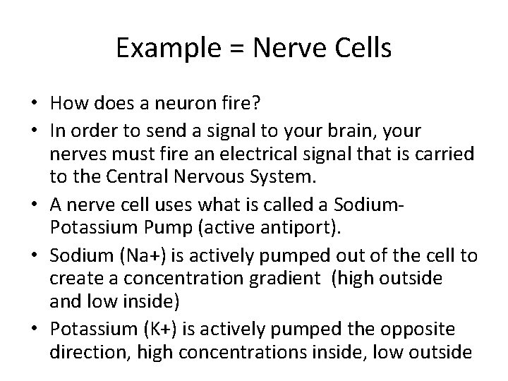 Example = Nerve Cells • How does a neuron fire? • In order to