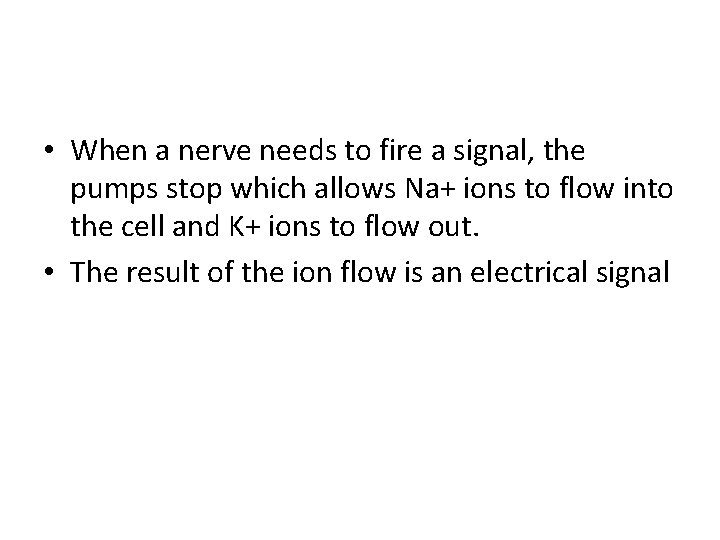  • When a nerve needs to fire a signal, the pumps stop which