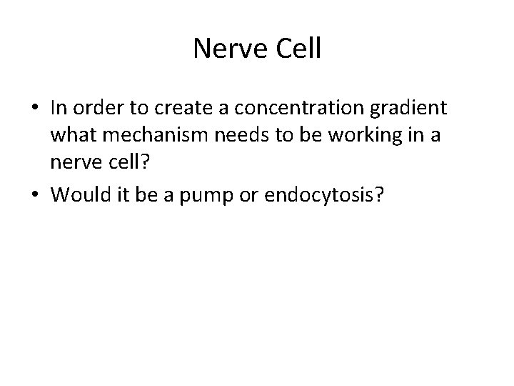Nerve Cell • In order to create a concentration gradient what mechanism needs to